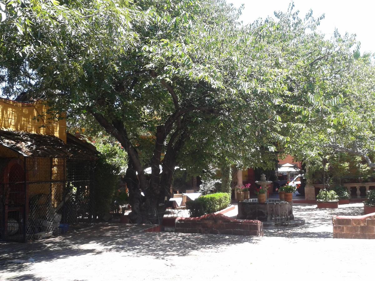 Hotel Sautto سان ميغيل دي الليندي المظهر الخارجي الصورة